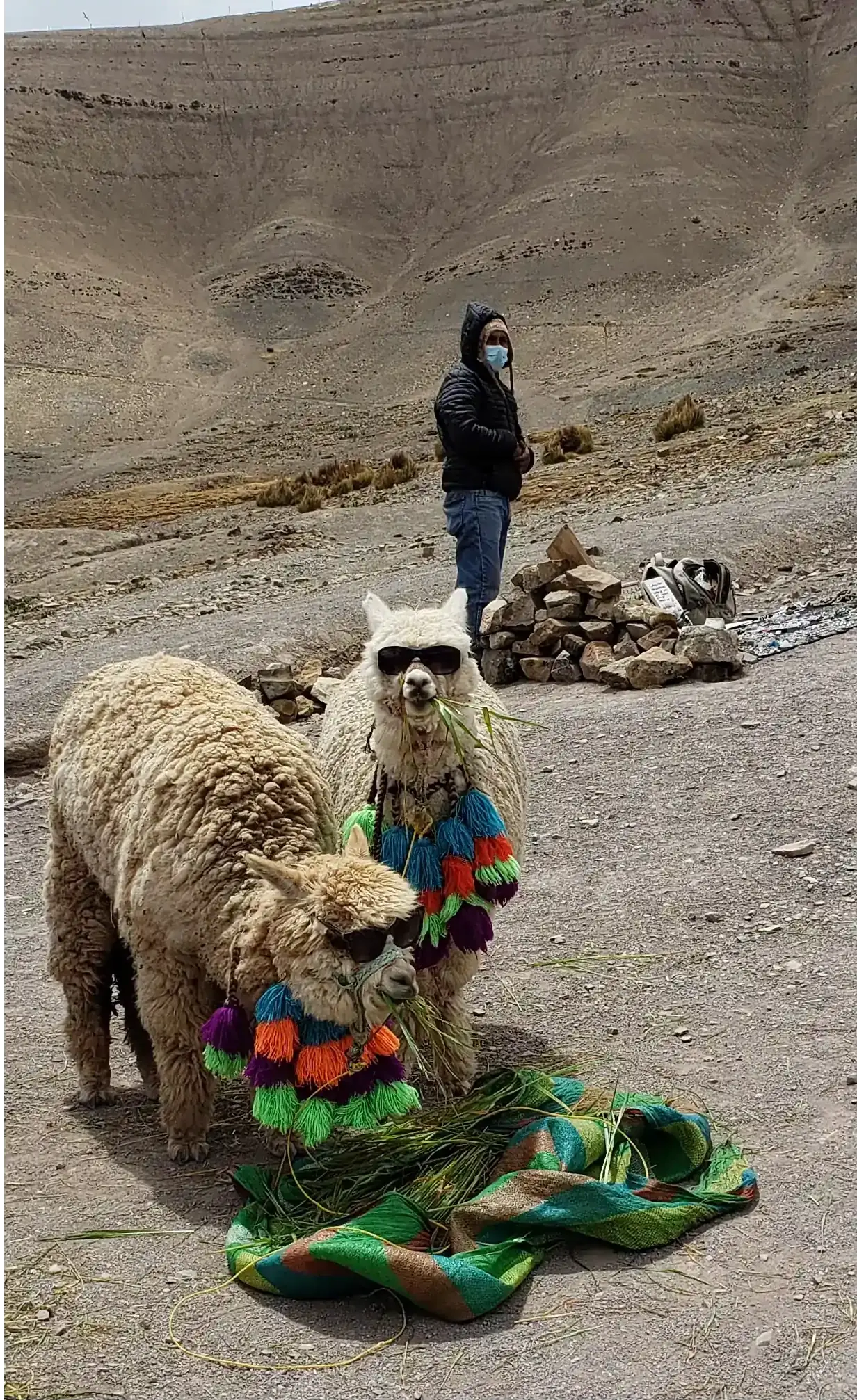 Streaming data pipeline